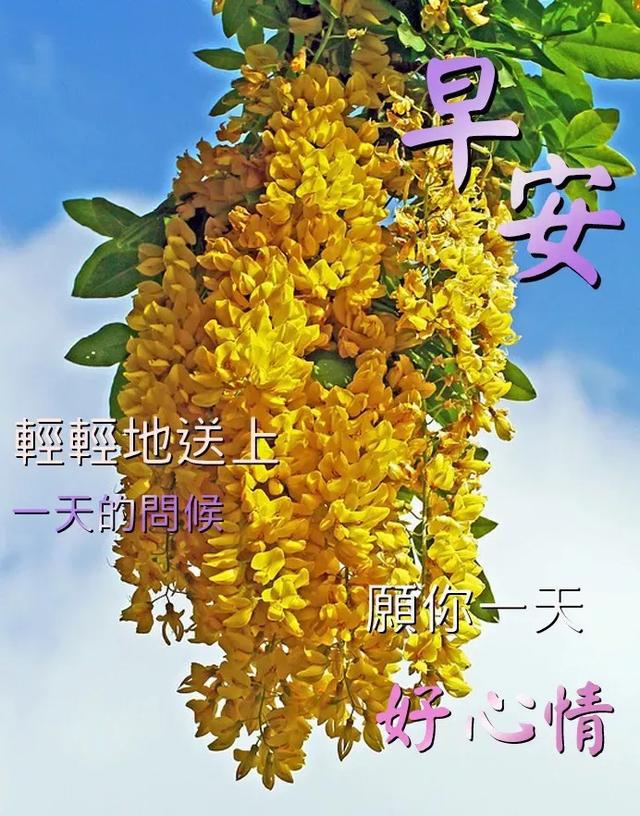 早晨亲切的问候,早安祝福语图片表情大全,早安!