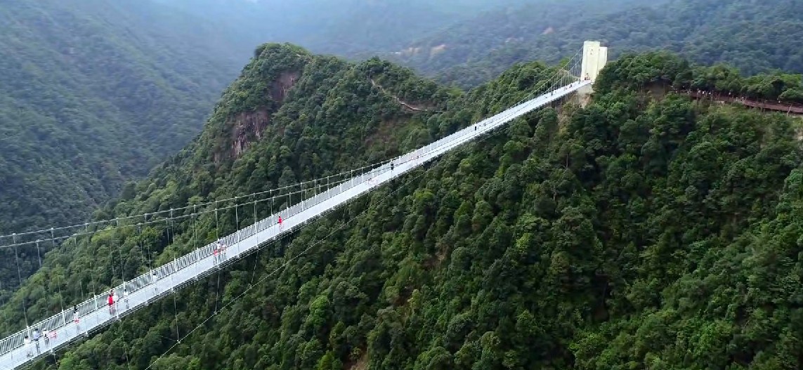 原创江西三百山国家风景名胜区,山青水秀的森林公园,网友:风景很美