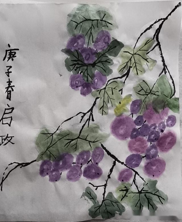 喜欢国画的孩子们,今晚网络视频直播画的是葡萄喜欢就一起画吧