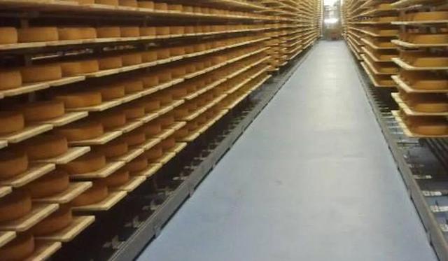 别人刚开始囤枪，一些美国人连末日堡垒都建好