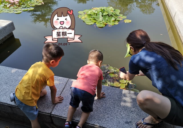 李思思被网友嘲讽嫁60岁老头，尼格买提火速上线