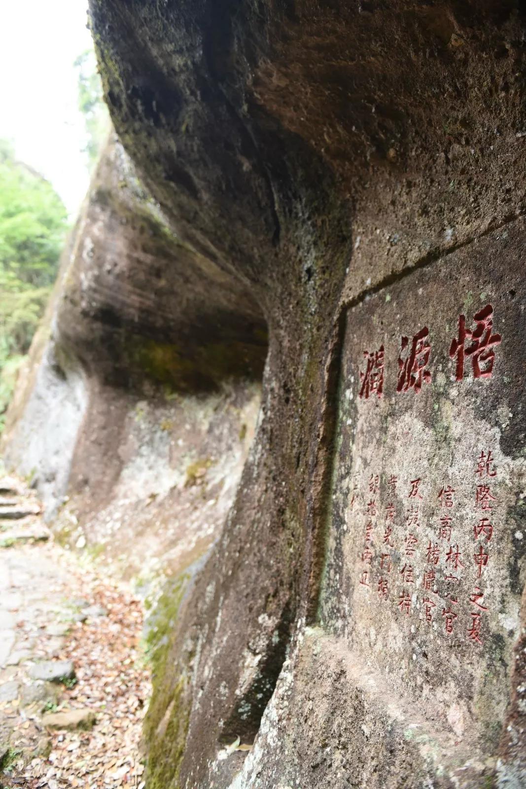 喝岩茶不懂"三坑两涧",谨防被"坑"!_武夷