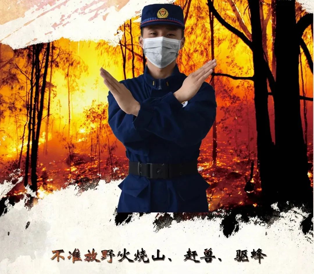 清明将至森林防火警钟敲响 森林防火"十不准"要牢记