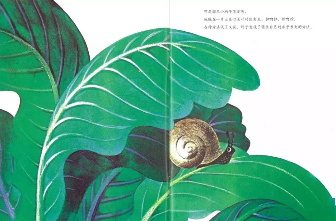 蜗牛的故事告诉我们 f0a111863b8c4602b4c59c150a68e481.jpeg