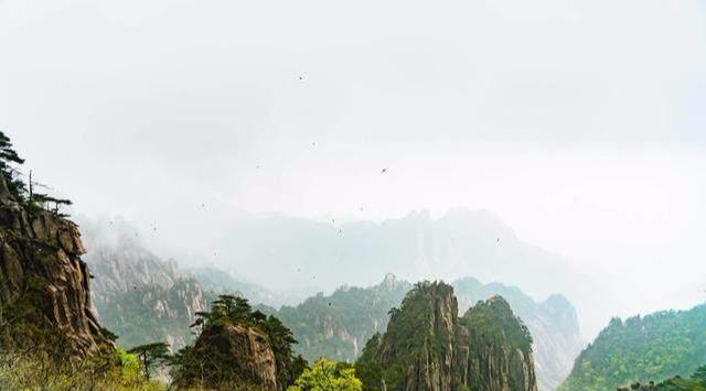 周庄人口增_周庄古镇