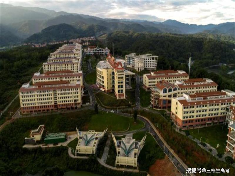 专科学校 云南经贸外事职业学院 云南三鑫职业技术学院 德宏职业学院