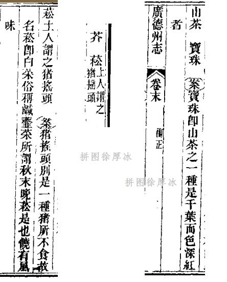 见闻记录|浅谈广德茶文化