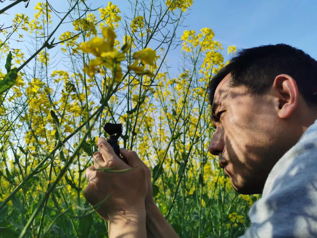 男人四十一枝花