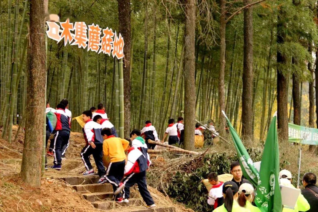 小伙伴们灵兰山谷蘑菇采摘活动己正式开始接受蘑菇迷的预约哦