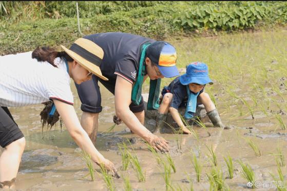 霍啟剛帶7歲兒子下廚，豪宅廚房內景首曝光，不愧是最接地氣豪門 娛樂 第6張