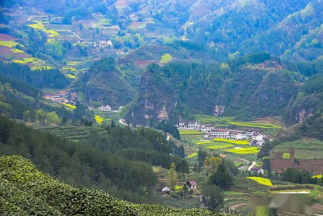 汉中勉县小河庙,一个有茶,有风景的地方!