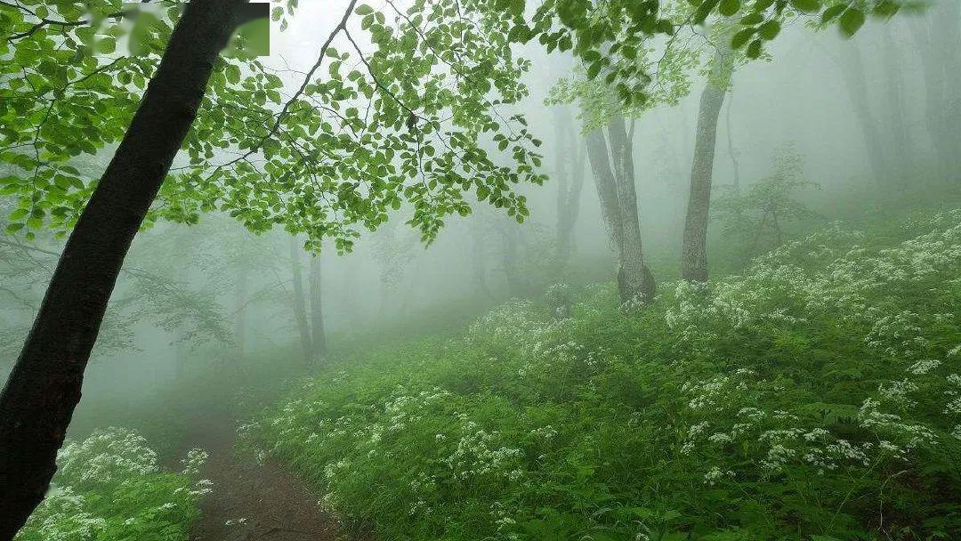 雷雨后:空气清新,一条彩虹挂在天空,蝉,青蛙叫了,蜘蛛又坐在网上了