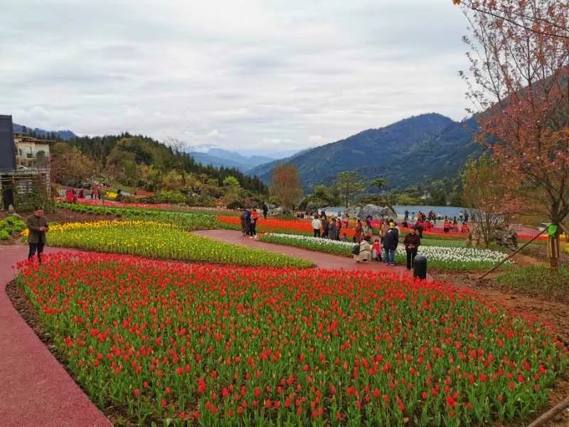 盼望着,盼望着 上个周末 万众期待的桌山黑石公园 终于对外开放啦