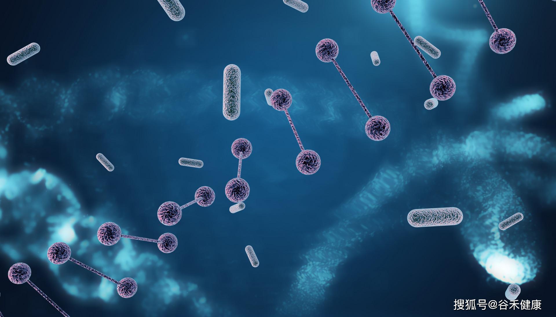 研究新方向 | 心血管疾病或与肠道微生物群有关