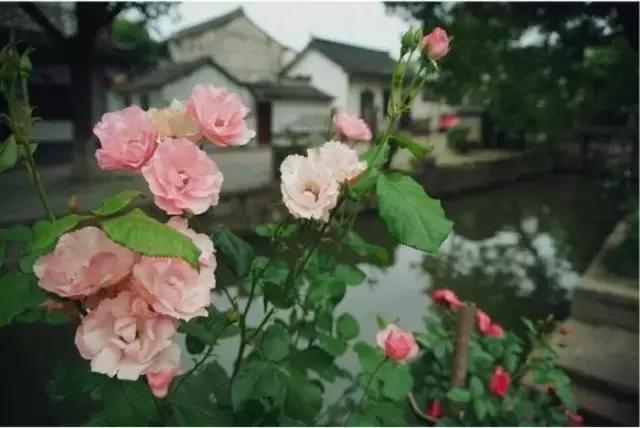 奇惯什么成语_我凭什么惯着你图片(2)