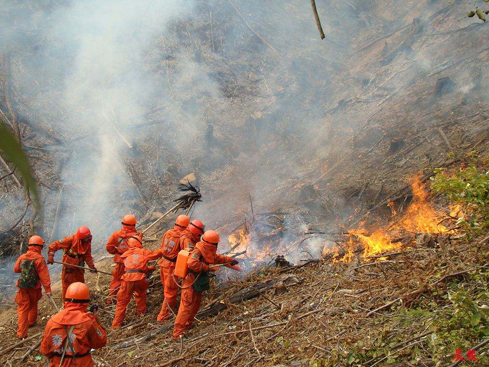 四川凉山大火又致18名消防员牺牲!哪些因素易引发森林火灾?