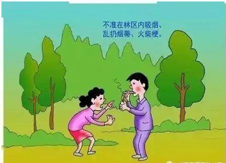 3cff8d6f063242f8823a9fe31a0ddf12.jpeg