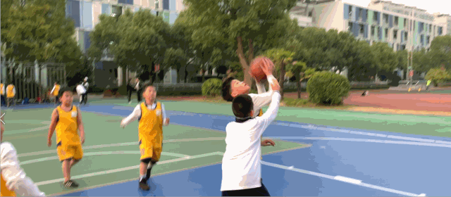 李烨体育 | 我与篮球互相成就