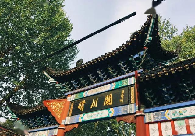 2020年武汉春游:武汉大学,月湖公园,东湖大李村,晴川阁