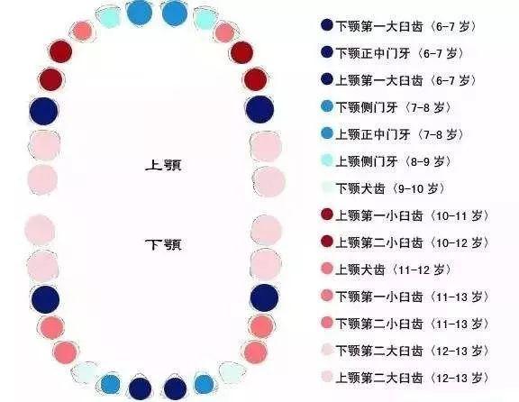 科普知识孩子好好的一口牙碰上换牙期居然变成锯齿牙