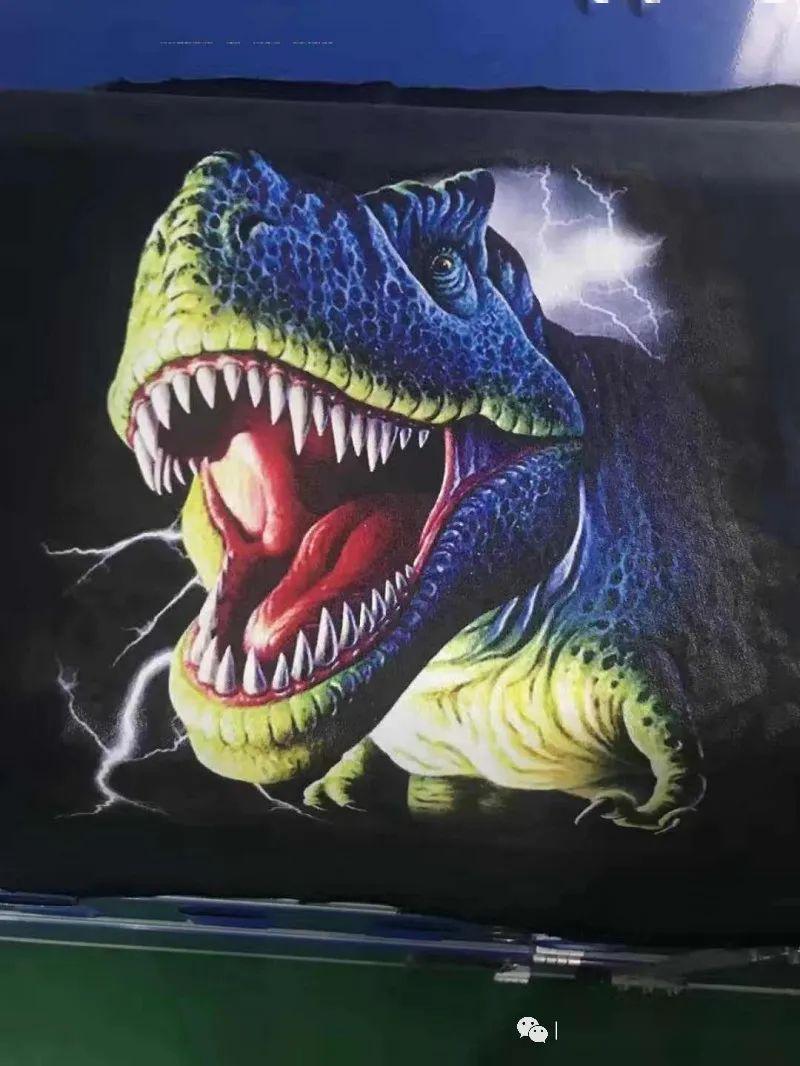 ʲô���Ĳ����ʺ�����ī����ֱ��ӡ��?