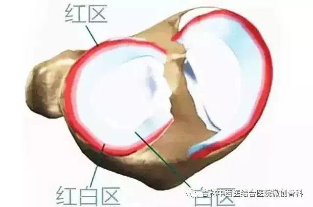 5adaa51a5ab94c5eb0b3b2219477cd3b.jpeg