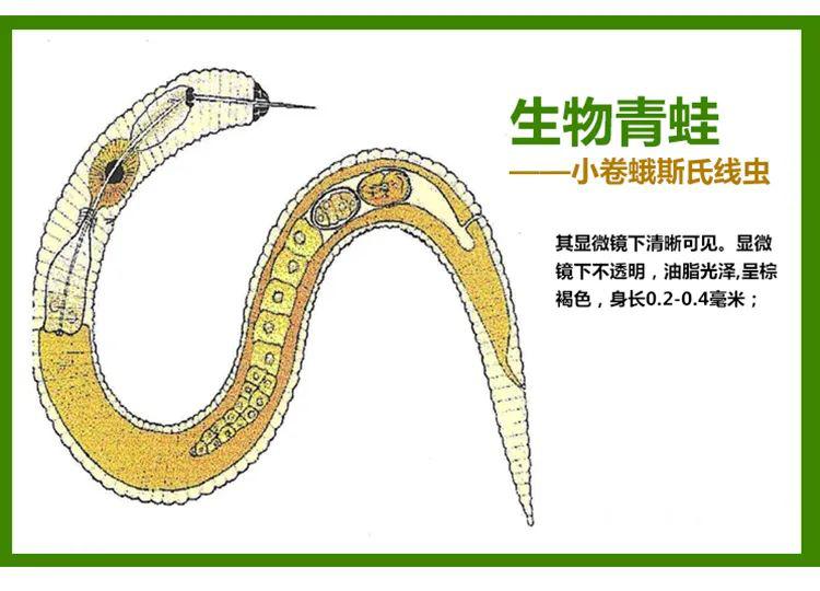 注意100万吨农药进入餐桌谁能再漠视