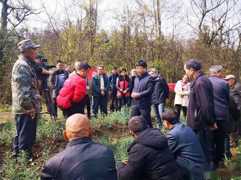 眼下正是春耕忙碌的时节,这可忙坏了龙山县洛塔乡14个村的村民:上个月