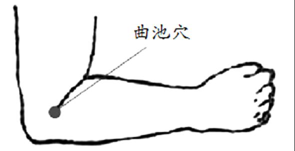 位置:轻抬手臂,屈肘后将手臂内弯,此时手肘关节的凹陷处即是曲池穴.