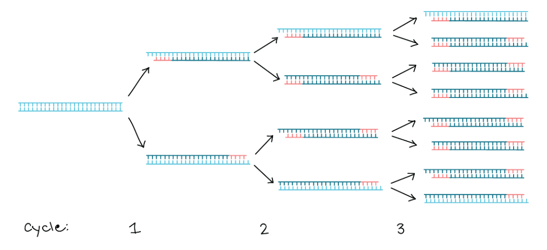 867c94d285b1416ca0c749142df98c97.png
