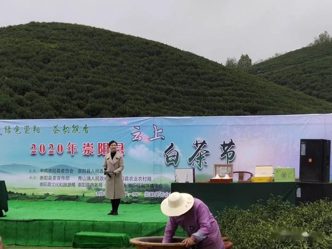 崇阳gdp_崇阳一中图片(2)