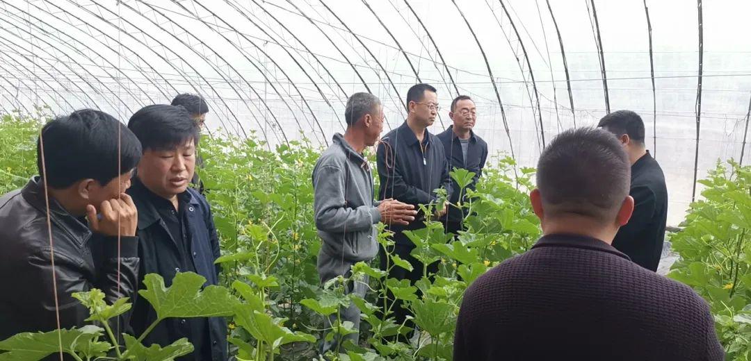 子长市经济总量_子长市图片(3)