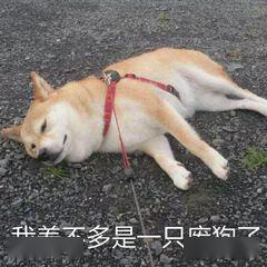 a15a79aa023b4742b2ebf441f8eab96c.jpeg