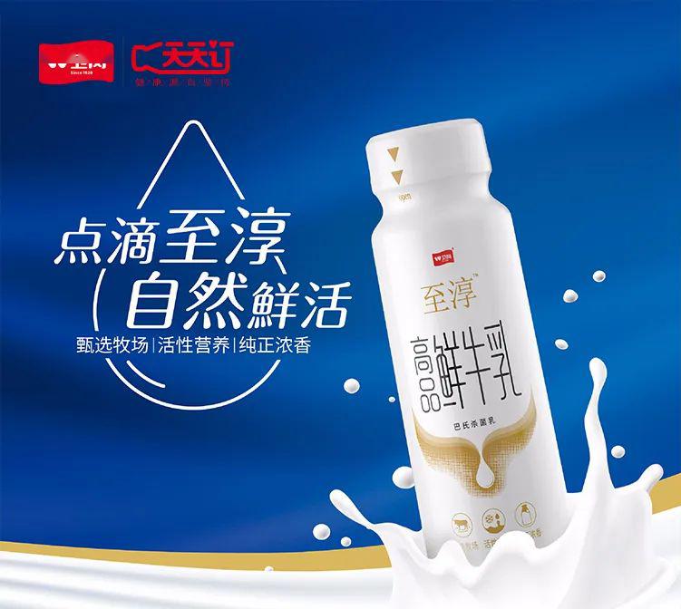 至淳高品鲜牛乳这次是鲜牛乳!还是便携瓶!