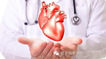 什么原因会引起心脏破裂 a3c26842fb664a35a5de2974992f04bb.jpeg