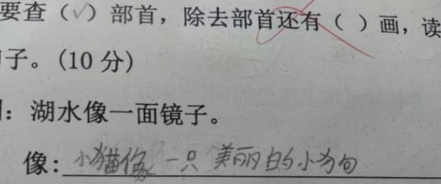 众人口味难调下一句_低调不代表没调下一句