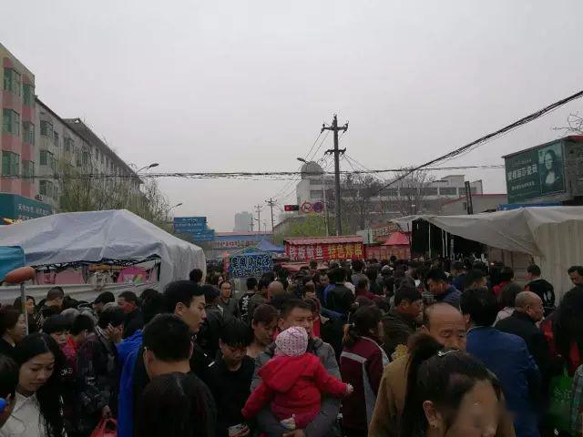 回顾往年定州西关庙会!
