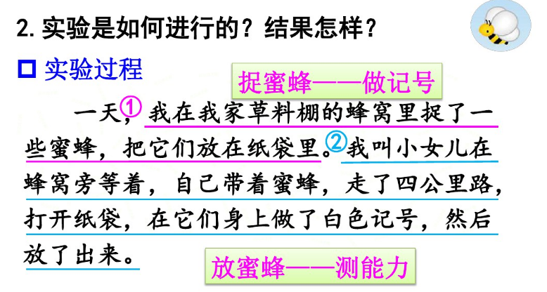 整篇课文以第一人称的方式写了法布尔所做的一个实验,即证实蜜蜂是否