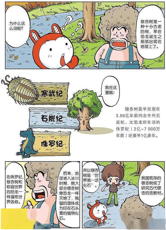 科普漫画:十万个为什么植物篇2