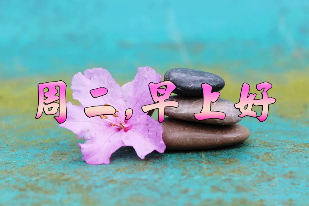 周二早上好,新的一天,新的问候!(03-31)