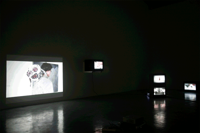 30artist(s):gao mingyan, jia aili, jin shan, jin shi, ho elaine