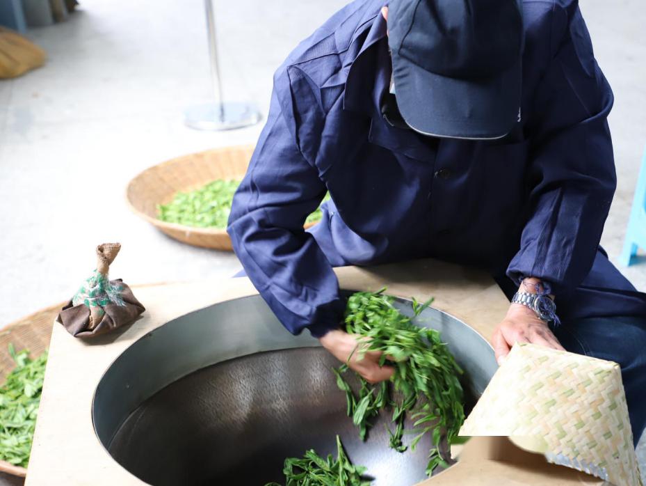 猴坑茶业组织太平猴魁样品茶制作培训会