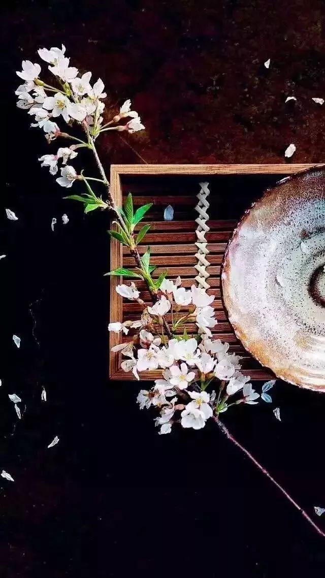 【感悟人生】让生命安恬如花开,各自芬芳,守心自暖