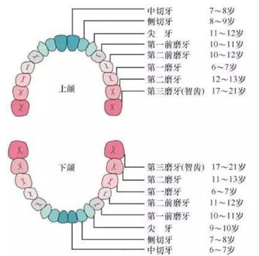 4岁男孩牙齿全黑,最伤孩子牙齿的不是糖,而是…… 亲子营 今天