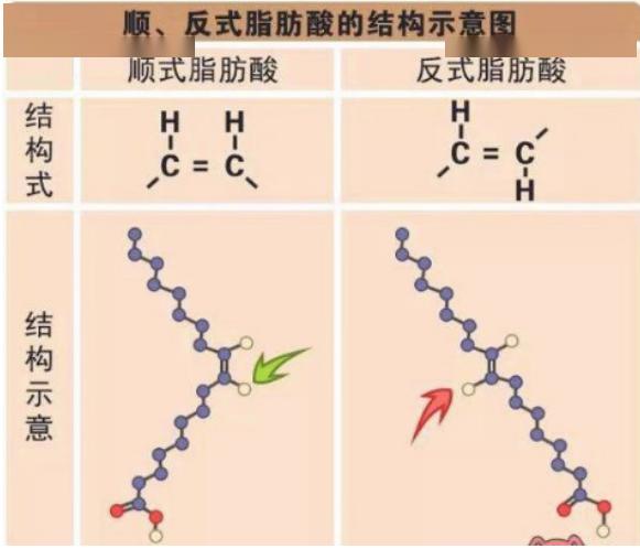 顺式反式脂肪酸示意图