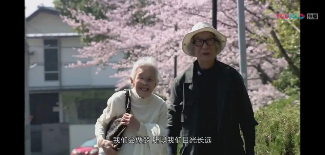 云观影淡云流水度此生人生果实