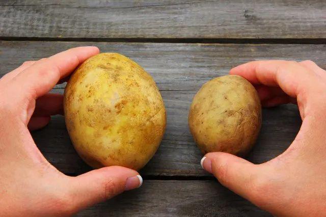 ipotatoyou是什么意思难道是我土豆你到底我什么你呢