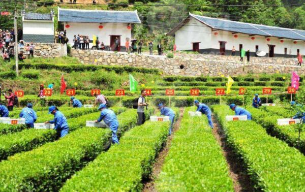 旅游风景区规划设计施工公司 e981522a46964762b30b7e86d694e81d.jpeg