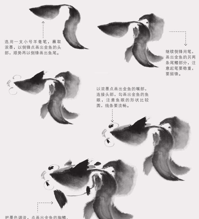 零基础国画教程:五种常见的鱼类画法图解讲解,你一定能学会!