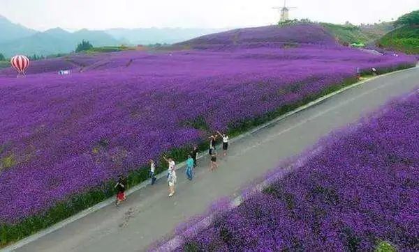 光山gdp_刘勇调研农村农业和工业经济强调 用高质量党建保障光山高质量脱贫和高质量发展(2)